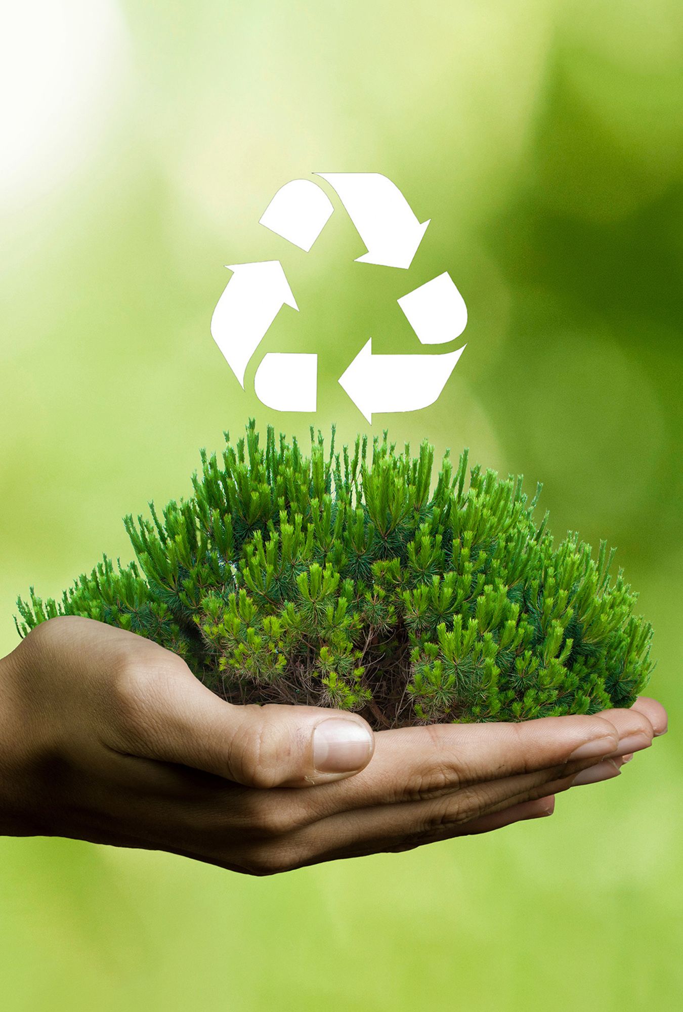 Environmental Services